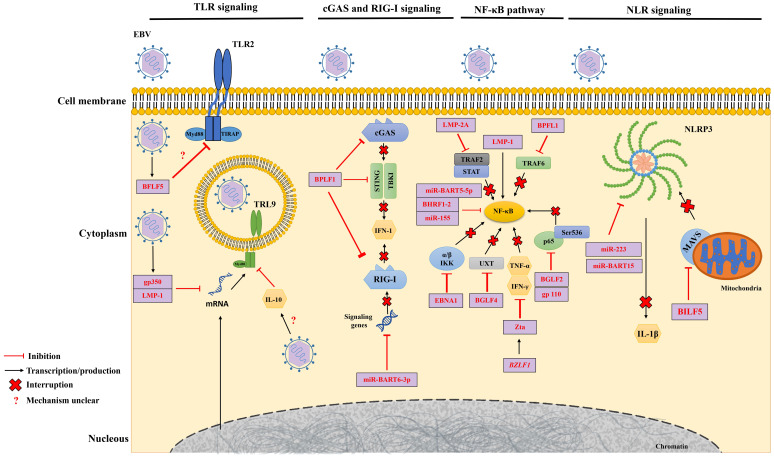 Figure 2