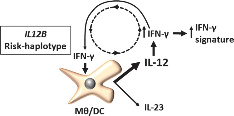 Figure 6.