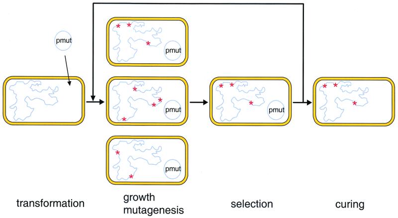 FIG. 1