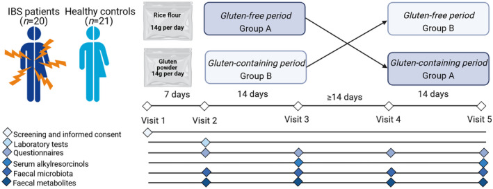 FIGURE 1