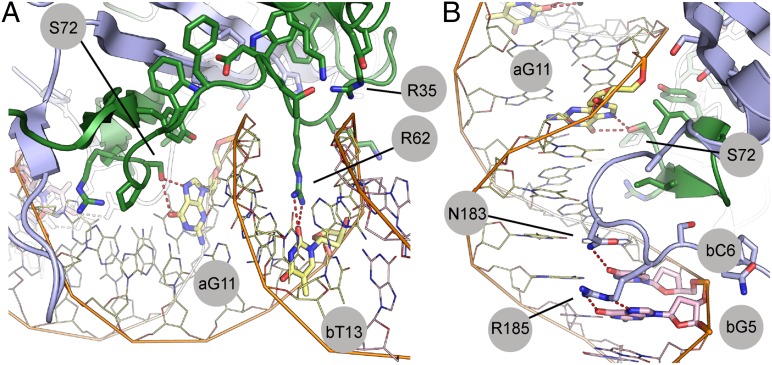 Fig. 3.