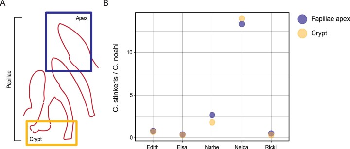 Extended Data Fig. 8