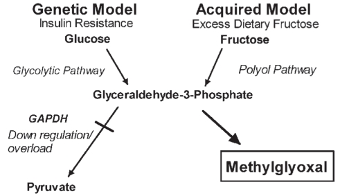 Figure 3)