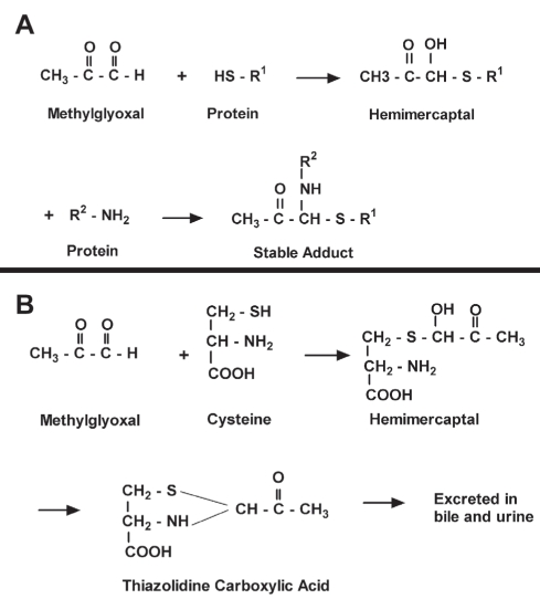 Figure 4)