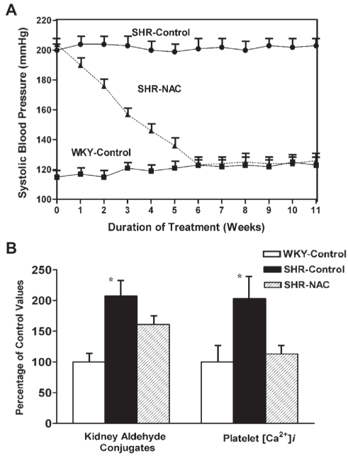 Figure 7)