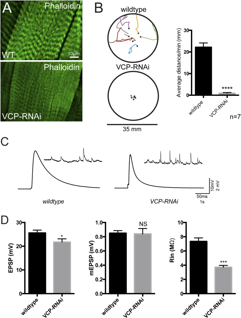 Figure 6—figure supplement 1.