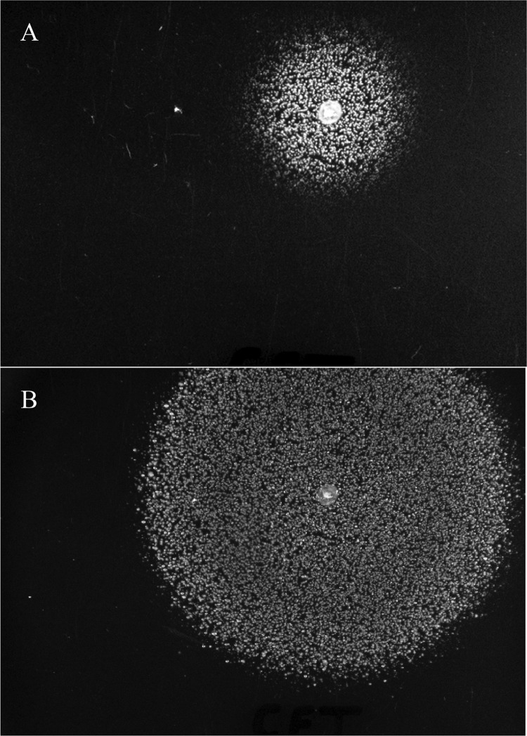 FIG 1 