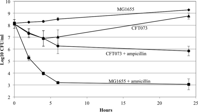 FIG 4 