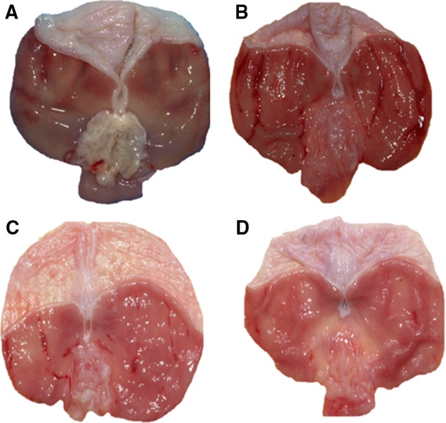 Fig. 3