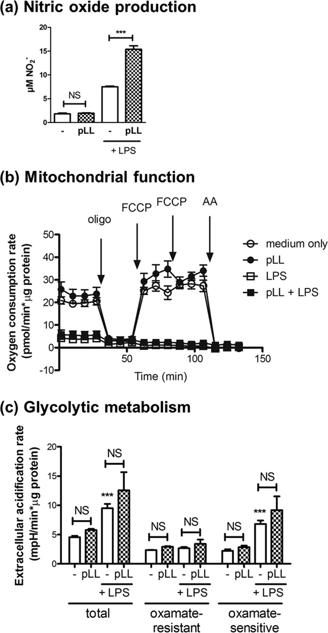 FIG 5