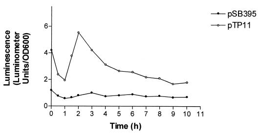 FIG. 5