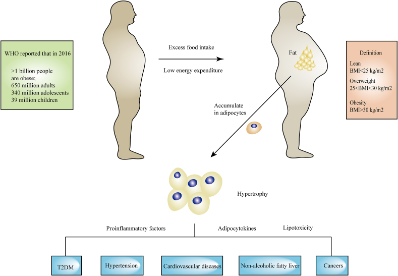 Figure 1