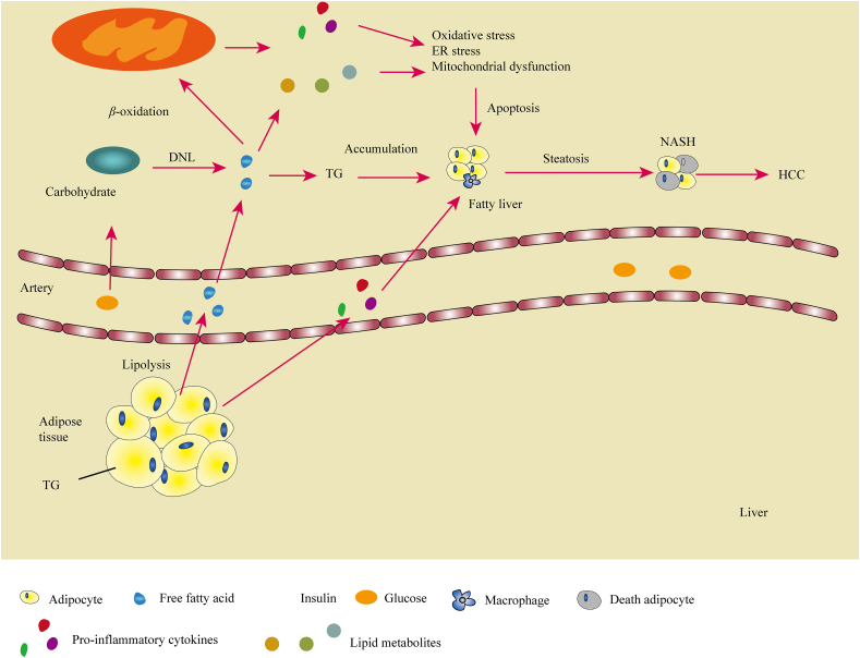 Figure 5