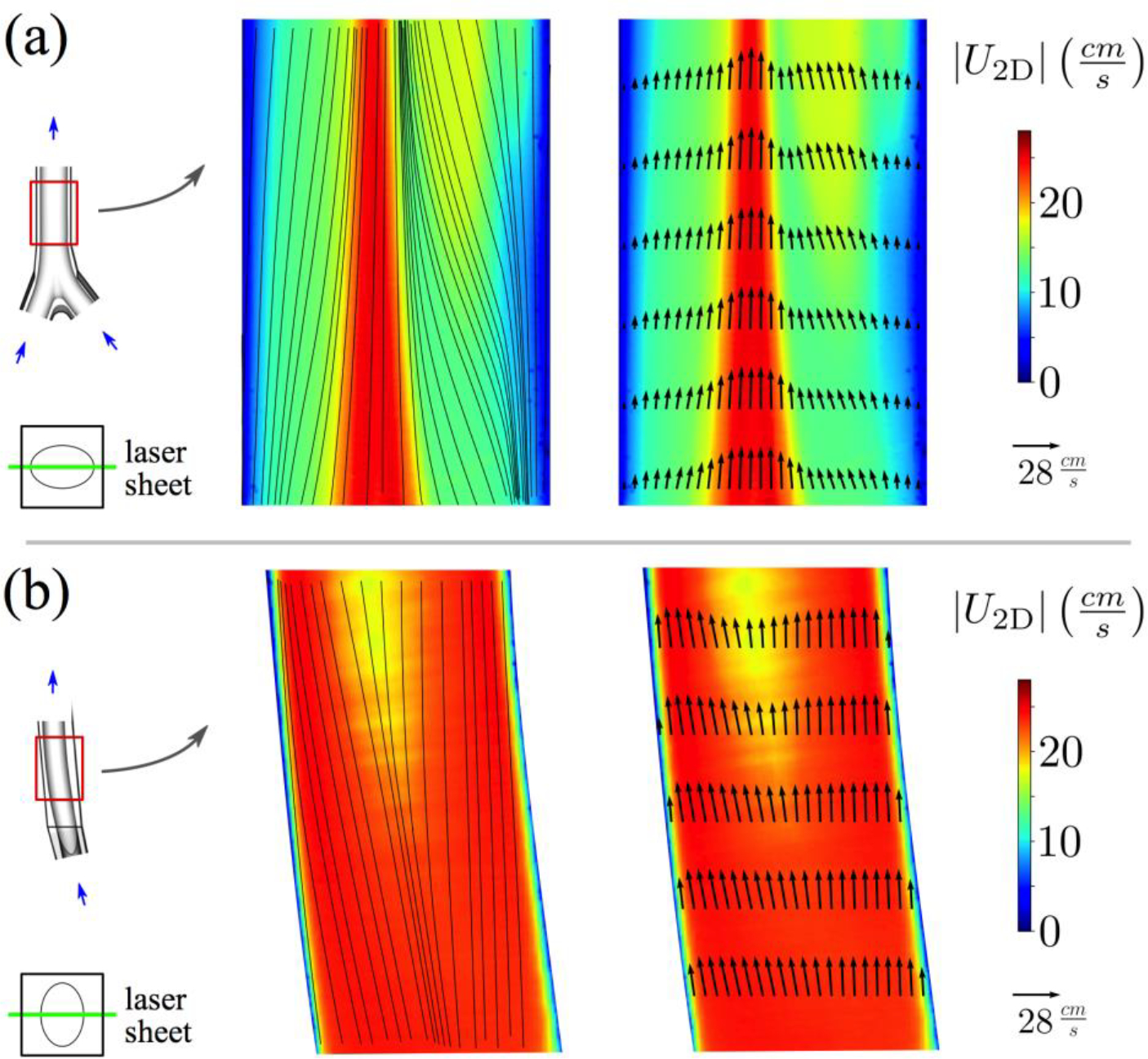 Figure 6: