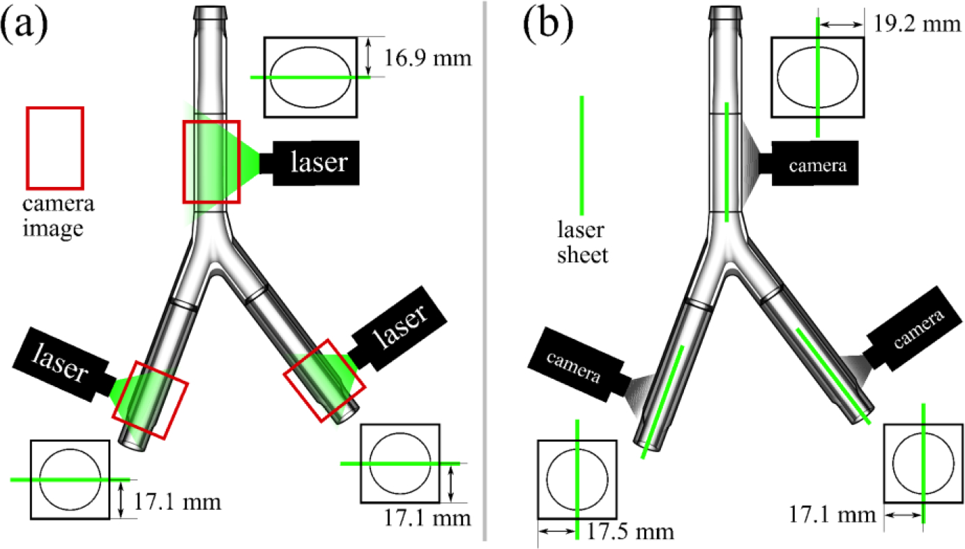 Figure 3: