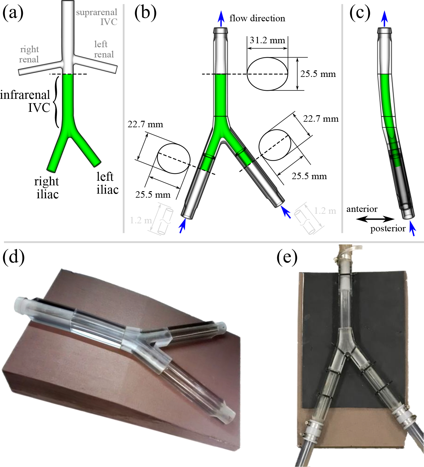 Figure 1: