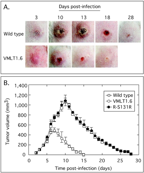 FIG. 5.