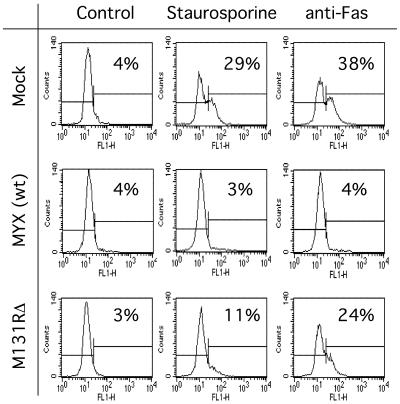 FIG. 8.