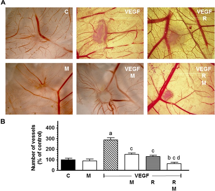 FIGURE 11