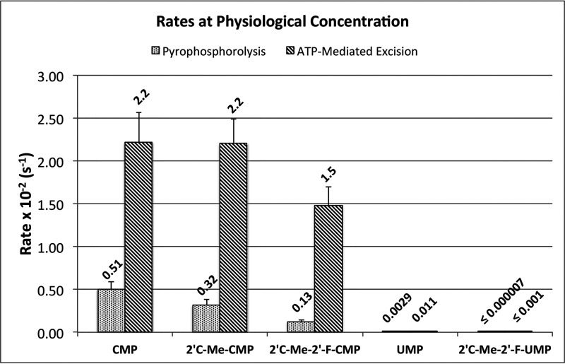 Figure 11.