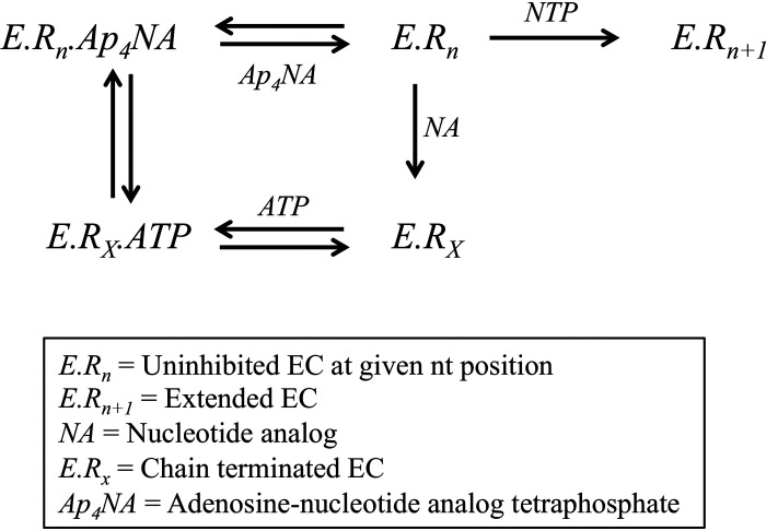 Scheme 3.