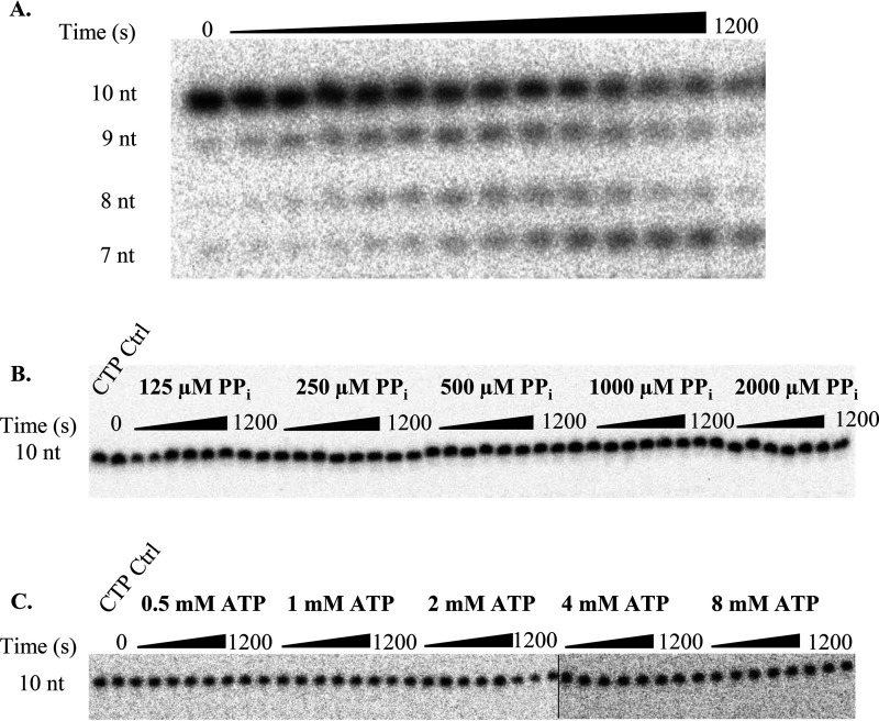 Figure 7.