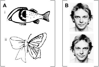 Fig. 1