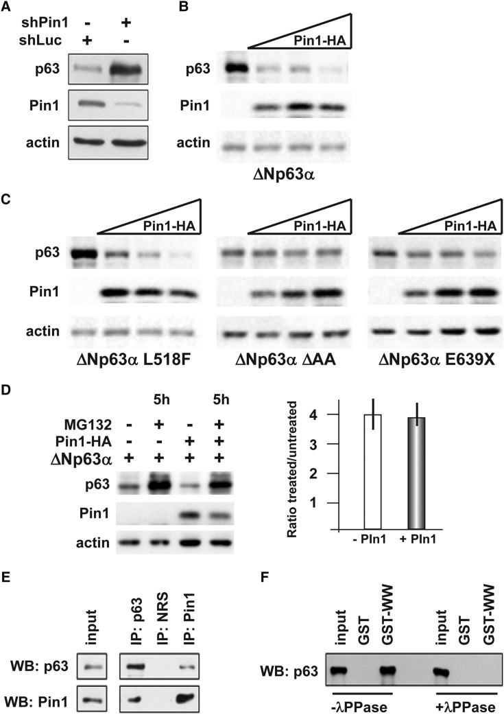 Figure 3.