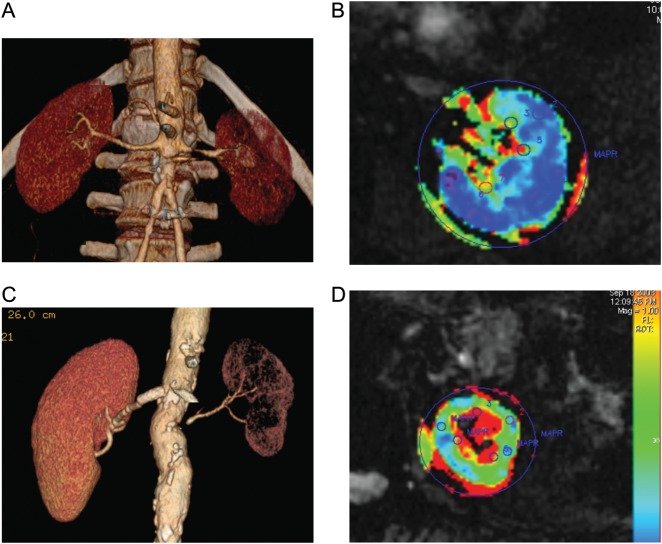 Fig. 1.