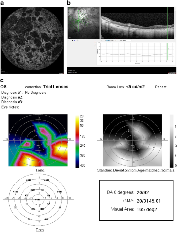 Fig. 3