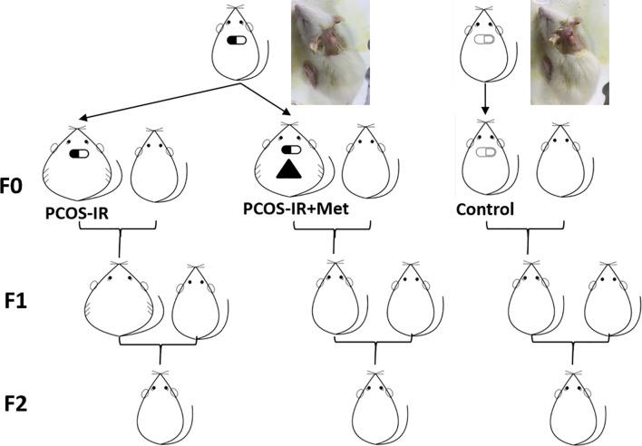 Figure 1