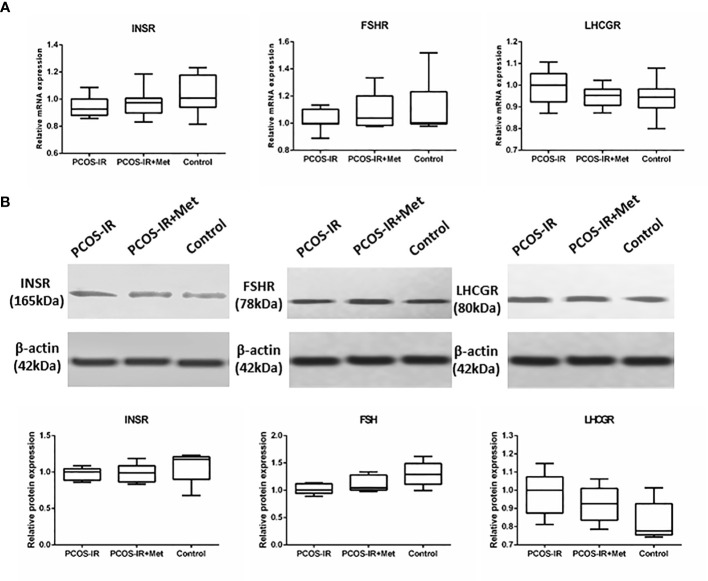 Figure 6