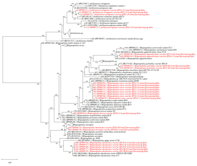 Fig. 4
