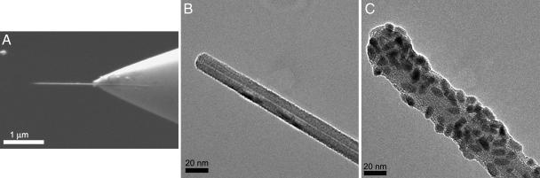 Fig. 2.