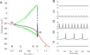Figure 4—figure supplement 4.