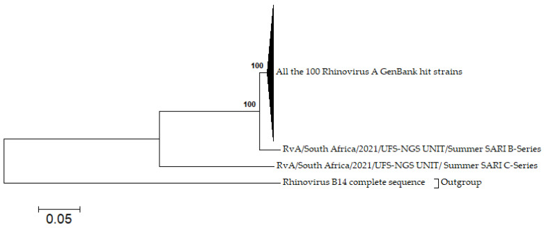 Figure 7