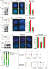 FIGURE 5: