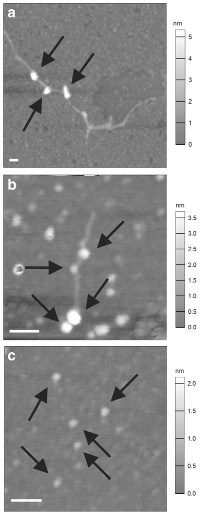 Fig. 5