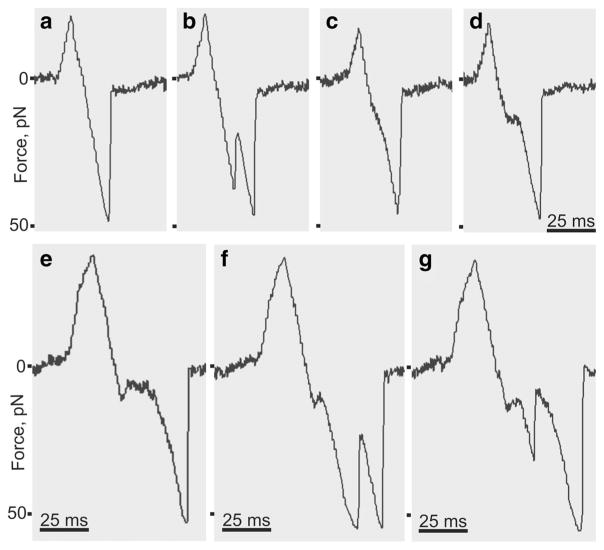 Fig. 11