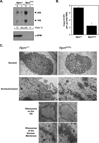 FIG. 8.