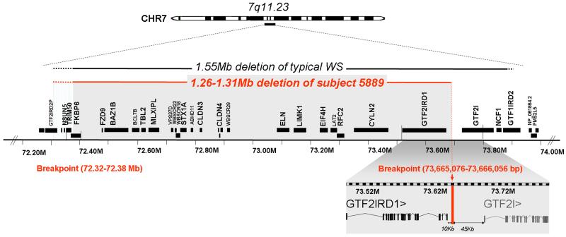 FIG. 3