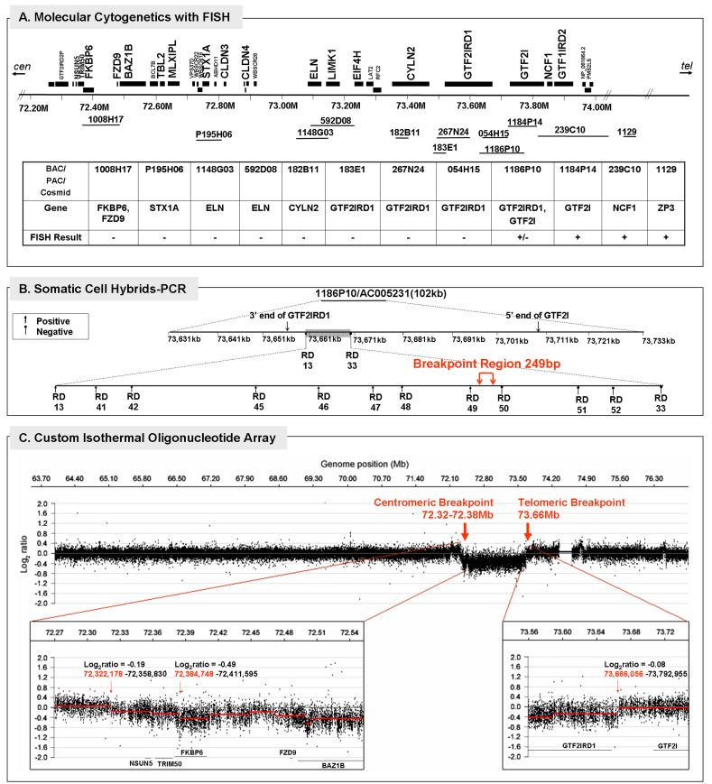 FIG. 2