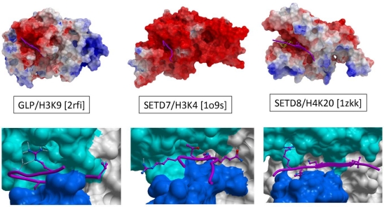 Fig. (4)