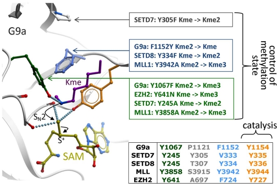 Fig. (7)