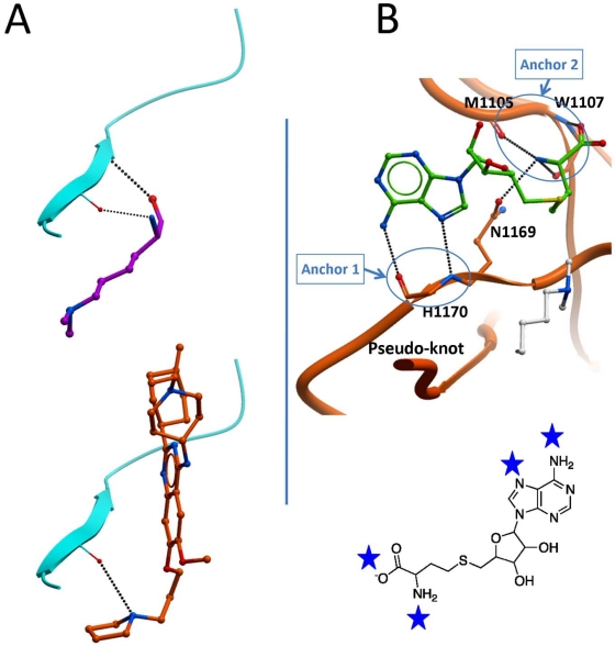 Fig. (9)