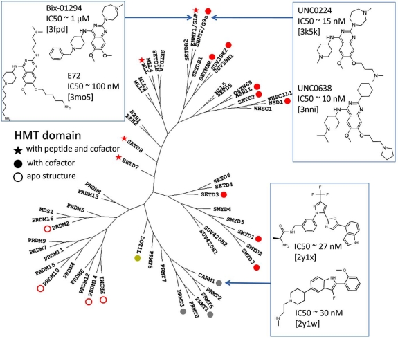 Fig. (1)