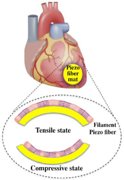 Figure 10.