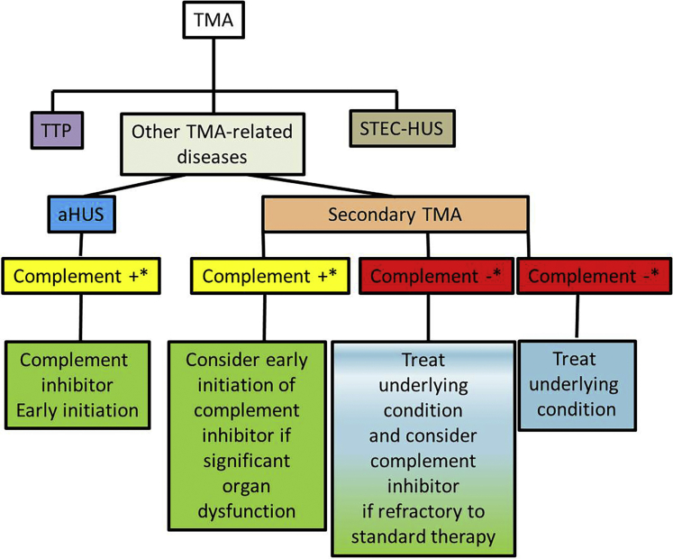 Figure 4