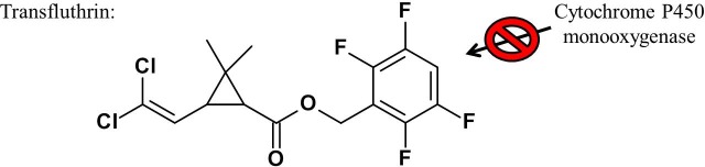 Fig 10