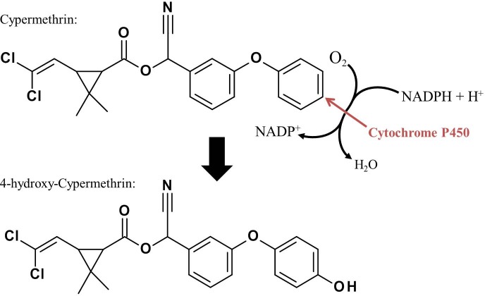 Fig 9